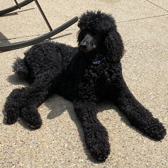 Just me - Picture 14 of 15